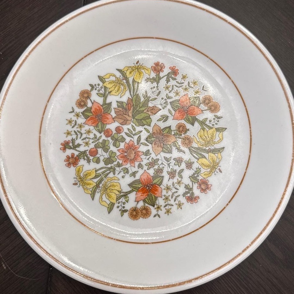 Corelle Indian Summer Dinner‎ Plate 8.5" Corning Vitrelle Floral Vintage USA